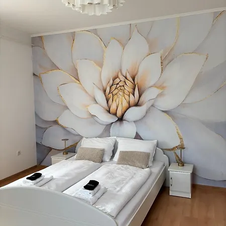 Bloom&room *